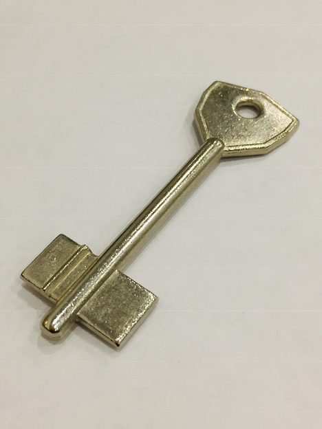 Заготовка ключа АОСАМ 1 фото 1