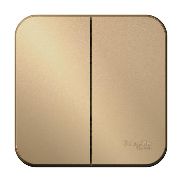 Systeme electric BLNVA105014 BLANCA О/У 2-клавишный ВЫКЛЮЧАТЕЛЬ ( c х.5) ИЗОЛ.ПЛ., 10А, 250B, ТИТАН фото 2