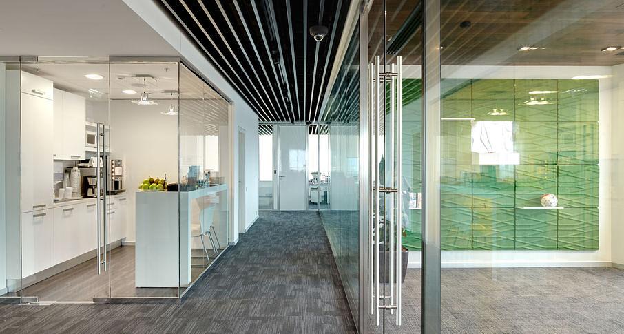 Двери NAYADA цельностеклянные под заказ фото 9