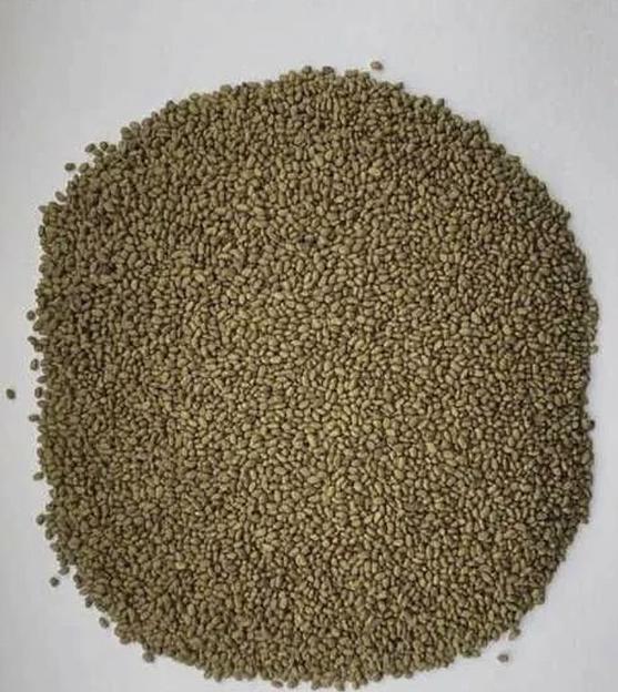 Семена люцерны АгроВектор «Вега 87» фото 2