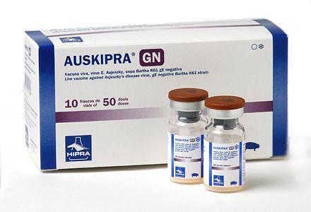 Вакцина для свиней Аускипра-GN 50 доз 10 с А3 разбавителем ОПТ фото 1