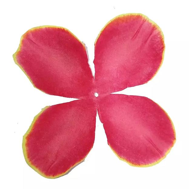 Заг-ка для розы YZ-62 бордовой с жёлт.кантом 4-кон. малый кругл. 10-12,2см 1538шт/кг фото 1