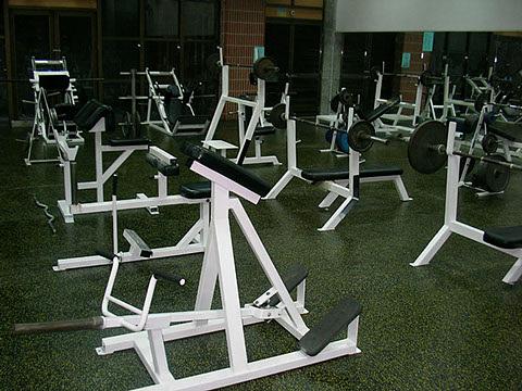 Виброизолирующие подложки ОПТ фото 1