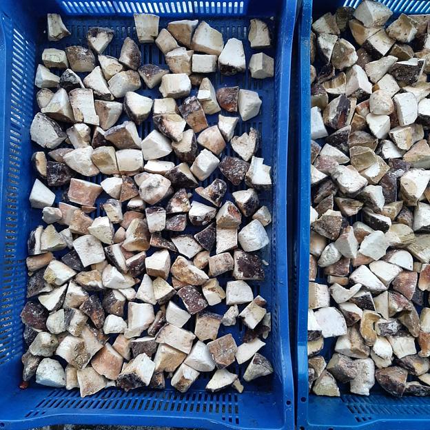 Белые грибы дикорастущие - резаные, 6 кг, Опт фото 1