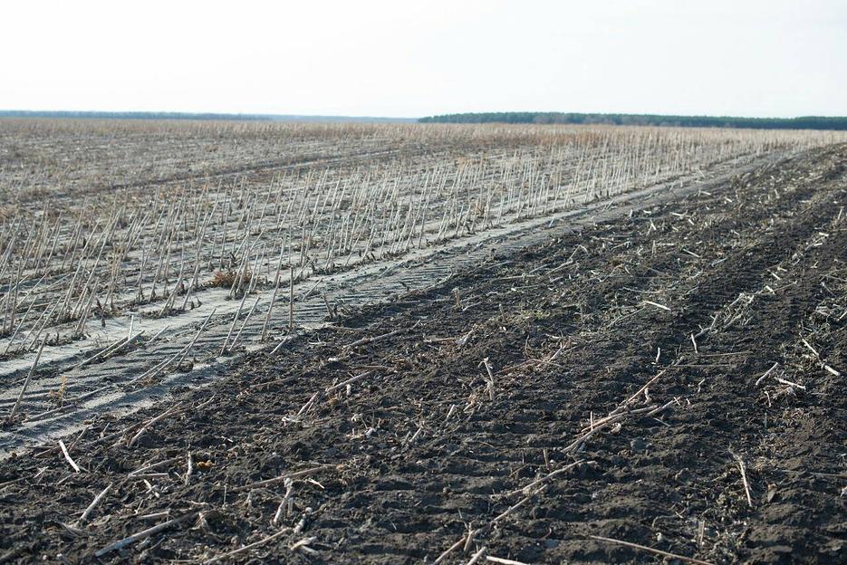 Каток измельчитель пожнивных остатков КИПО-6 фото 6