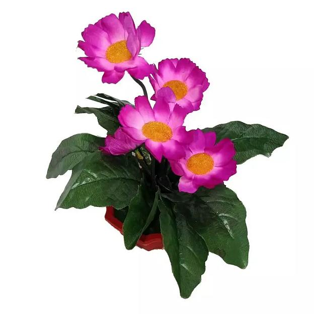 Цветы в горшке 5 ромашек с густой листвой фото 3