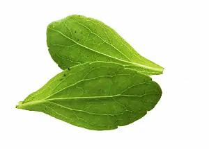 Суперсмачиватель нового поколения «Изагри Стик» опт фото 2