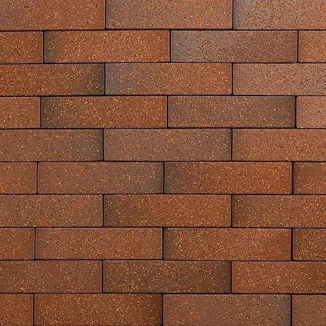 Кирпич Тайга «Борус» 0,7-НФ опт фото 1