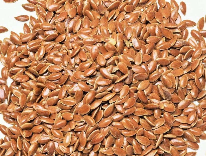 Семена льна «Северный» РС-1 опт фото 1