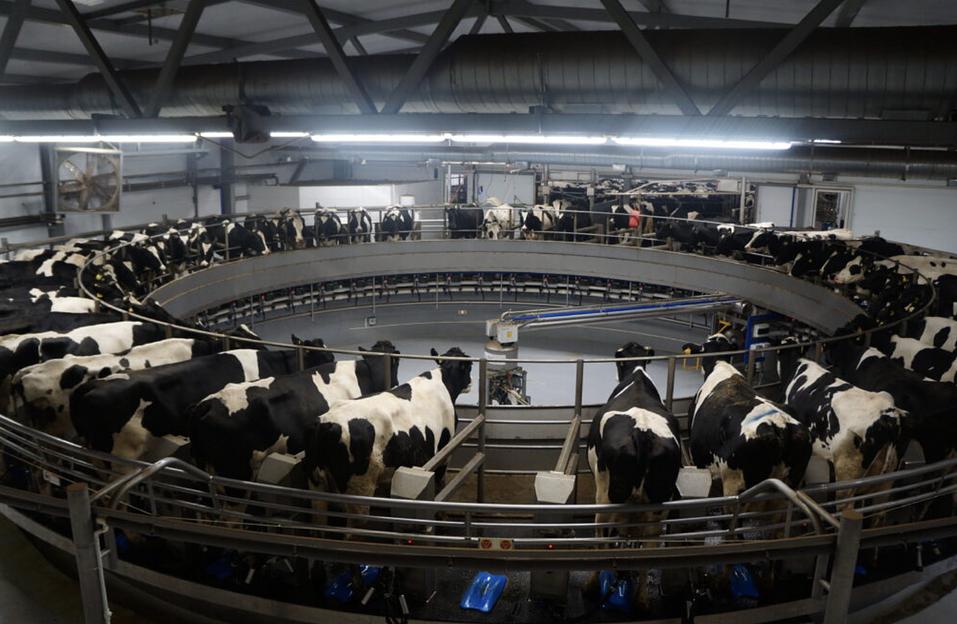 Услуга сервисного обслуживания и реконструкций стойло-мест фото 1