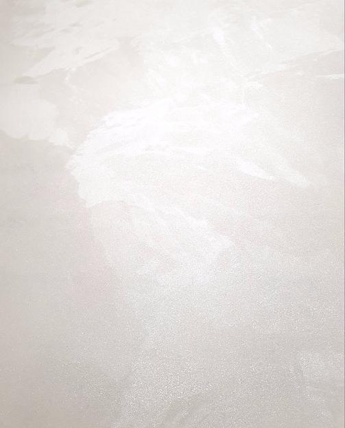 Декоративное покрытие «Classic silk» фото 6