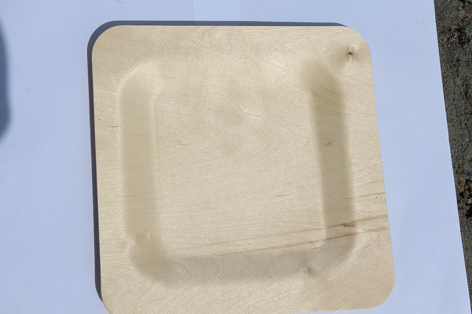 Тарелка для главных блюд одноразовая, квадратная 230 мм фото 5