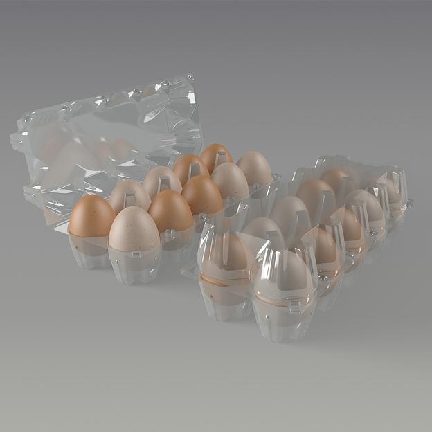 Пластиковая упаковка 10 яиц с ячейками фото 1