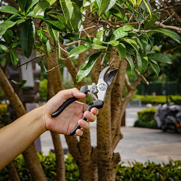 Набор сучкорез + секатор Deli DL580002 лезвия с тефлоновым покрытием, длина 75/21 см, макс. диаметр реза 30/15 мм, сталь 55С фото 6