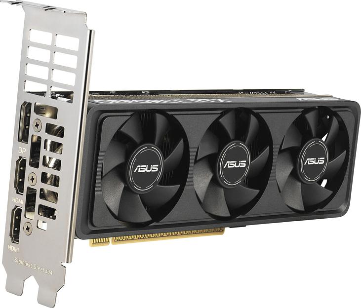 Видеокарта Asus PCI-E 4.0 RTX5060-O8G-LP-BRK NVIDIA GeForce RTX 5060 8Gb 128bit GDDR7 2550/28000 HDMIx1 DPx3 HDCP Ret фото 3
