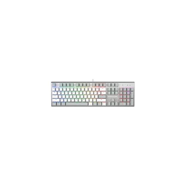 Клавиатура A4TECH Fstyler FS100 Neon, USB, серый фото 1