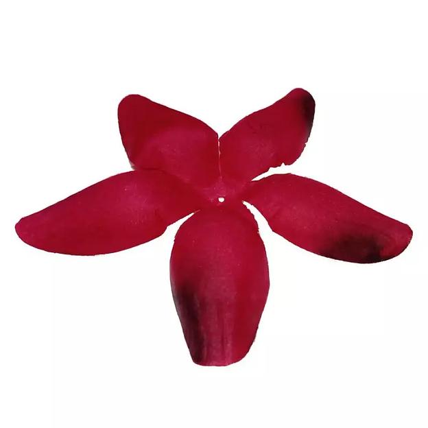 Заг-ка для розы YZ-4 свекольной 5-кон. узкий 16,3см 939шт/кг фото 1