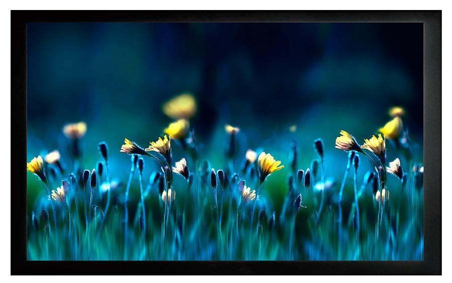 Экран на раме Cactus 113x200см FrameExpert CS-PSFRE-200X113 16:9 настенный натяжной фото 1