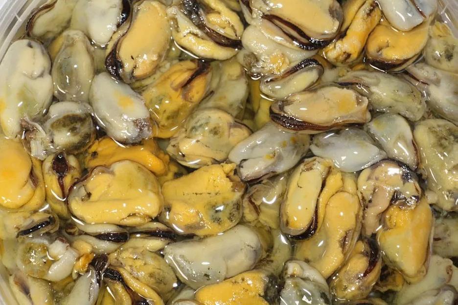 Мясо мидий очищенное в масле (от 100 до 200 штук) 10 кг ОПТ  фото 3