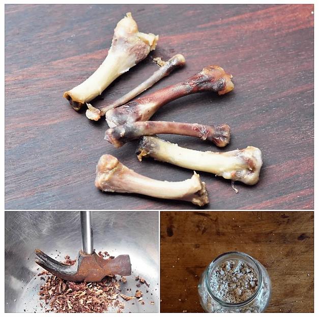 Кость трубчатая ЦБ фото 1