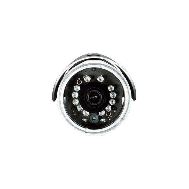 Видеокамера IP D-Link DCS-7110/UPA, серебристый фото 1