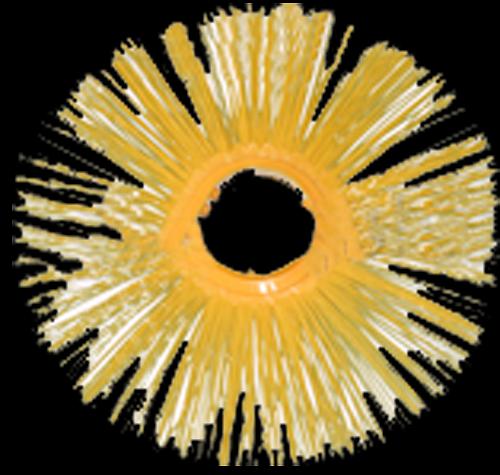 Диск беспроставочный фото 1