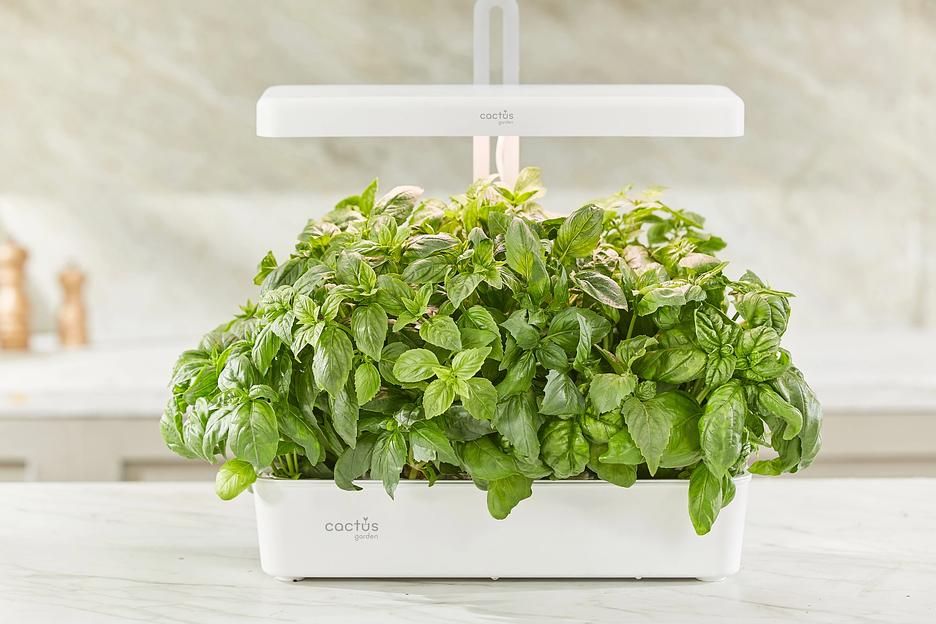 Кашпо Cactus Garden CS-LEDPOT-10 2.0л белый фото 4