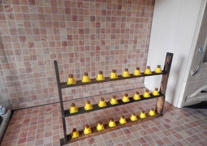 Пчелопакеты на заказ фото 3