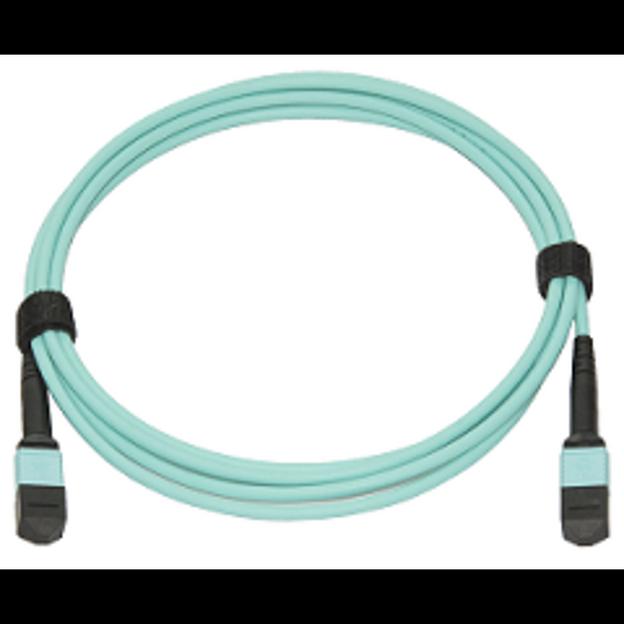 Патчкорд оптический MPO/UPC FF MM, 12 волокон, 3 метра (Cross) фото 2