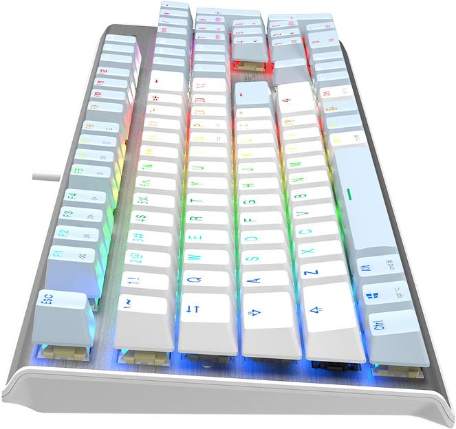 Клавиатура A4Tech Fstyler FS100 Neon механическая синий/белый USB for gamer LED (FS100) фото 9