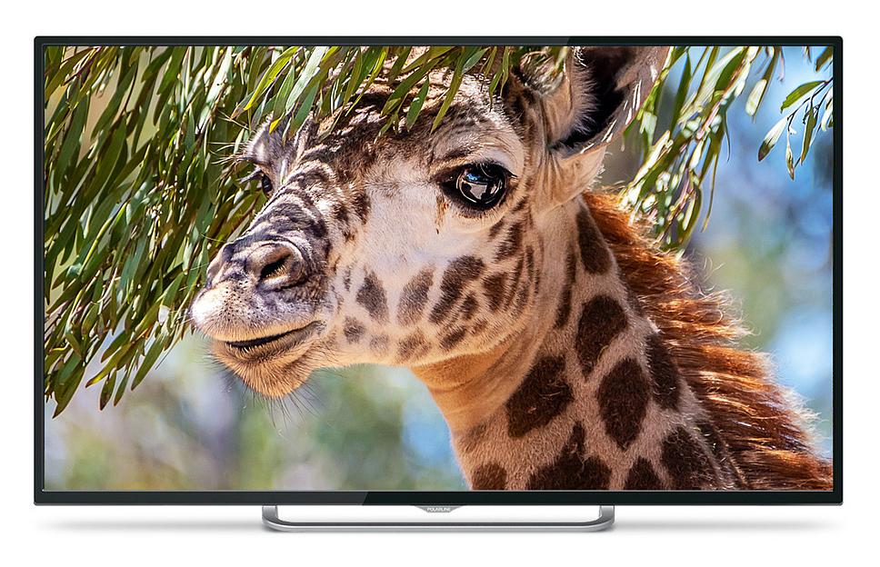 Телевизор LED PolarLine 55" 55PU11TC-SM черный/Ultra HD/50Hz/DVB-T/DVB-T2/DVB-C/USB/WiFi/Smart TV (RUS) фото 1