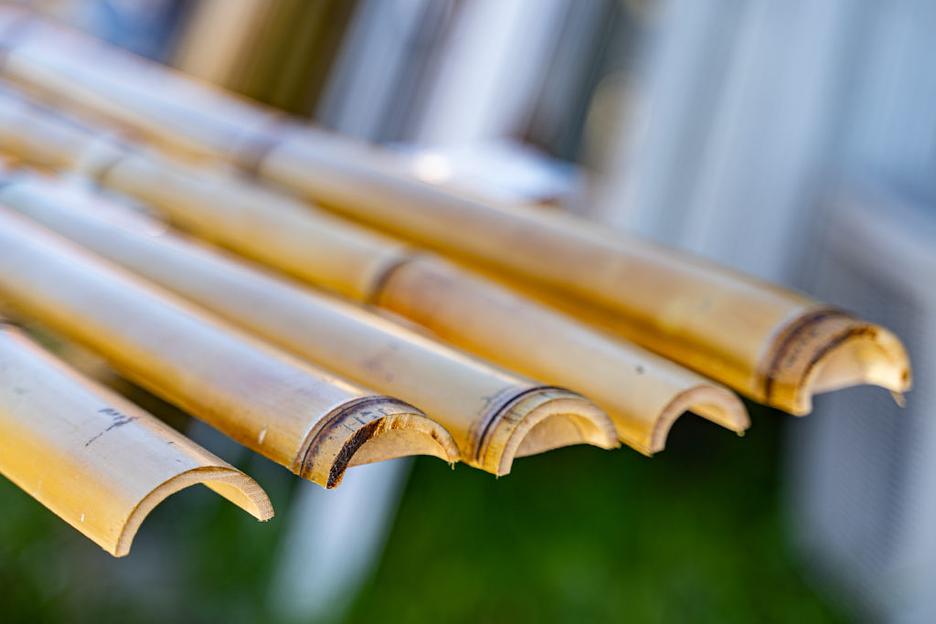 Половинка ствола бамбука, 3 м, Светлый, опт фото 2