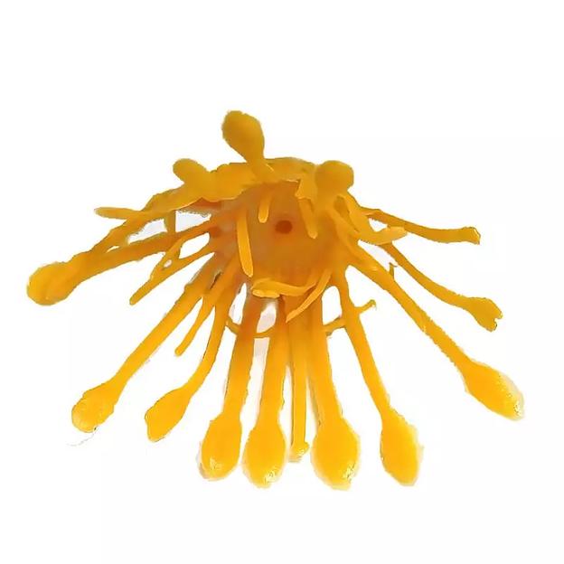 Добавка тычинка пиона жёлтая 6см 767шт/кг фото 1