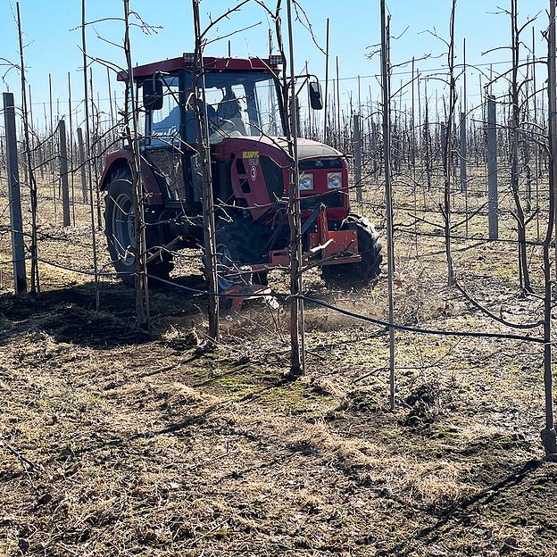 Выгребатель веток садовый односторонний фото 10