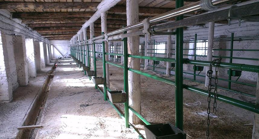 Система поения на 50-200 голов фото 1