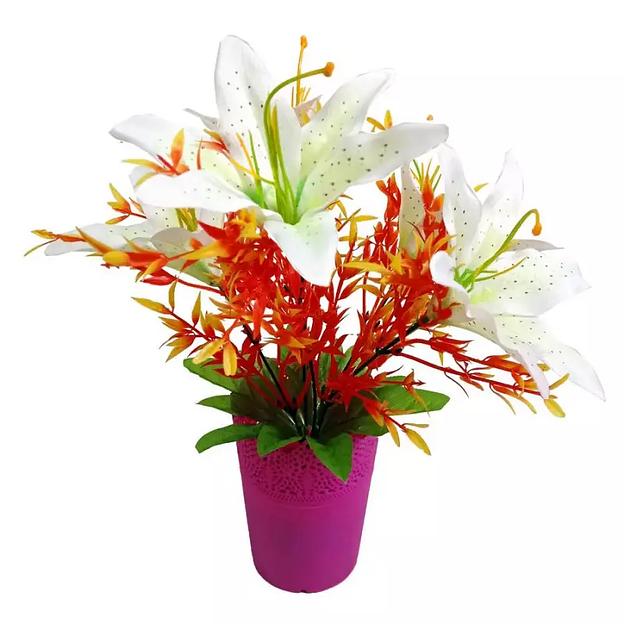 Цветы в горшке 5 лилий с красной зеленью фото 1