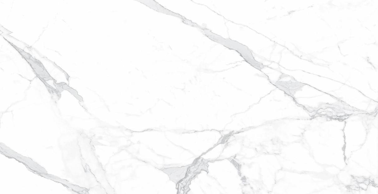 Керамогранит Kerasol Inspire Calacatta Mate Rectificado 60x120 цена за м2 фото 1