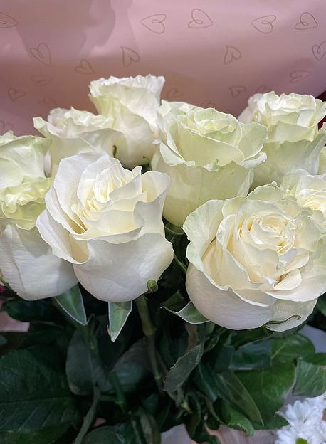 Роза сорт «Мондиаль» ОПТ фото 1