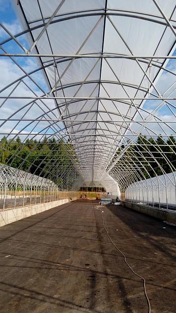 Установка теплиц фото 5