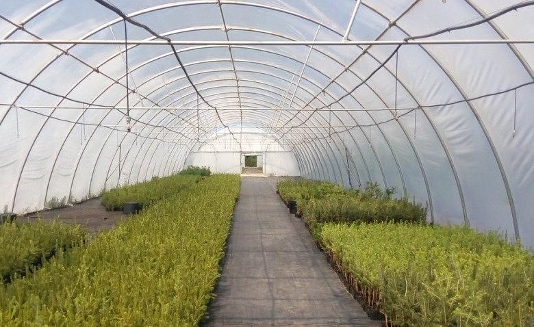 Строительство теплиц под ключ фото 1