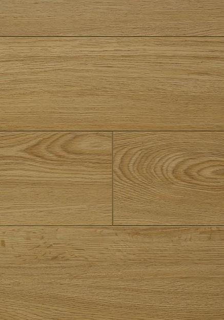 Ламинат CBM «Silence» классический дуб ОПТ фото 1