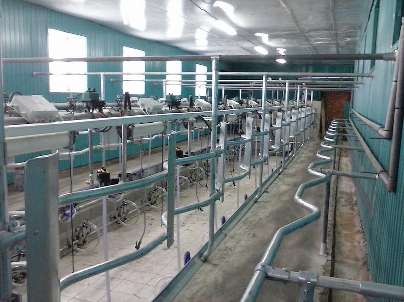 Доильный зал Елочка 2х16 от 600 голов (каркас Россия) фото 1