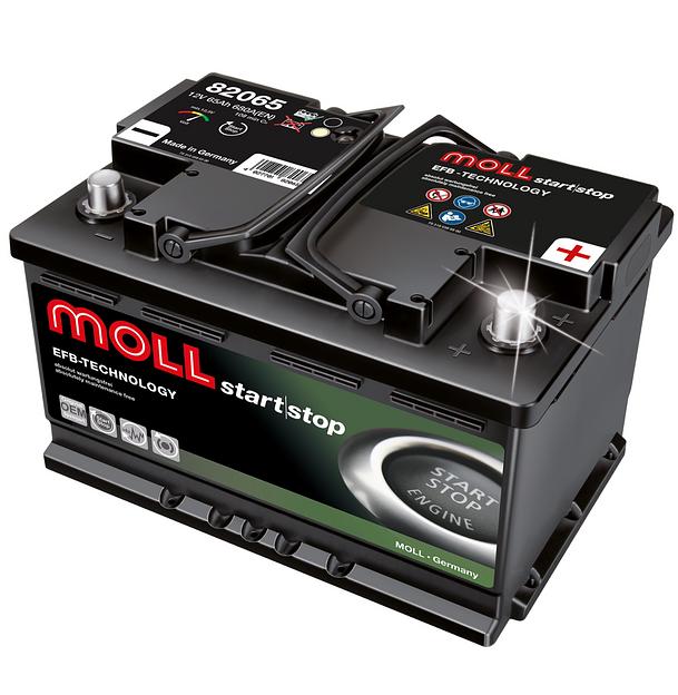 Аккумулятор Moll EFB 80R фото 1