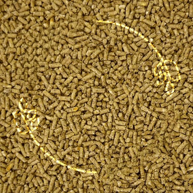 Комбикорм гранулированный полнорационный для перепелов-несушек ПК-11 фото 1