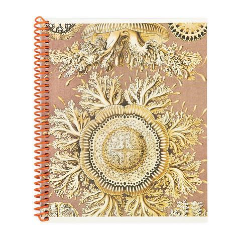 Тетрадь общая на спирали А5, 80 л., клетка, Медузы, бежевый, золотой, SVT_800621_04, SVETOCH фото 1