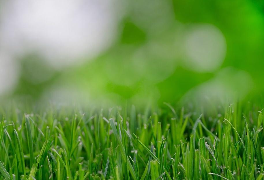 Комплексное азотное удобрение для газона опт фото 9