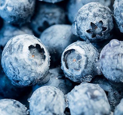 Голубика садовая РБ опт фото 1