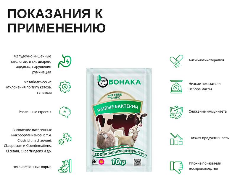 Живые бактерии для телят и МРС Бонака-АПК, сухая форма опт фото 2