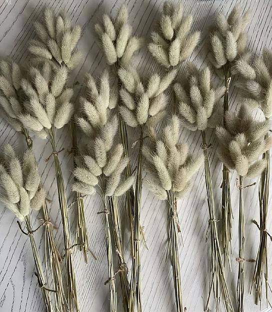 Сухоцвет лагурус «заячьи хвостики» неокрашенные, 25-30 см фото 1