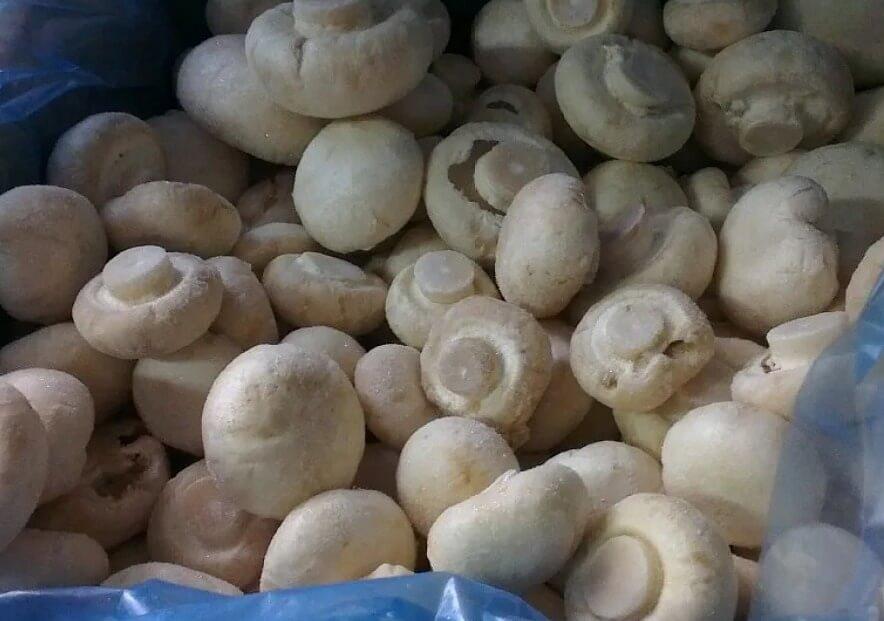 Шампиньоны целые «Глобал Фрост» замороженные  фото 1